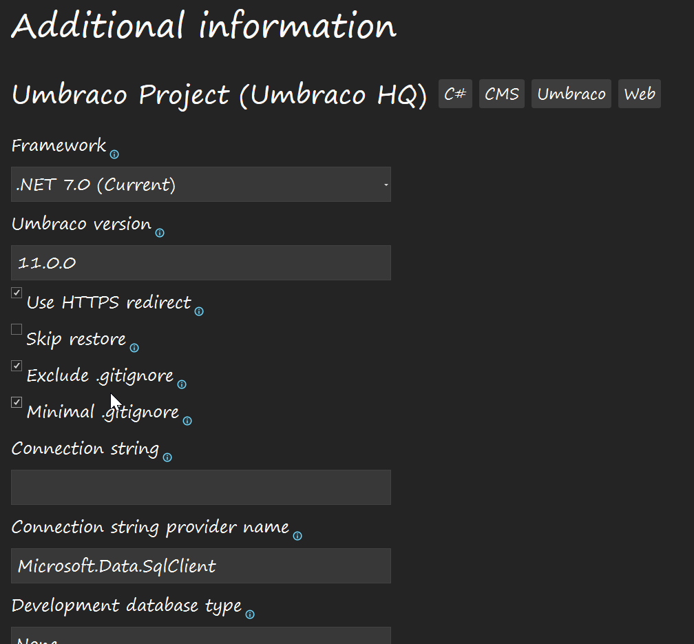 Configuring your Umbraco v11 site within Visual Studio